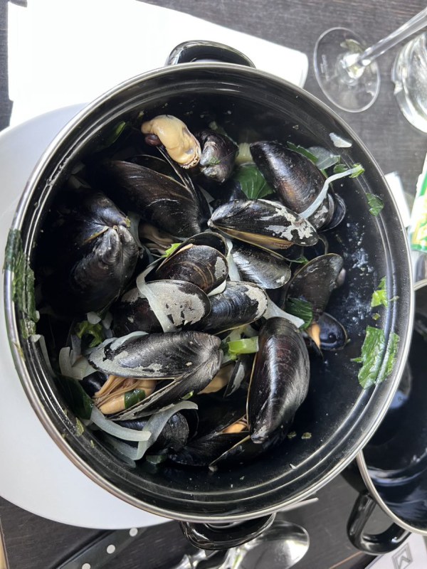 Antwerpen mussels