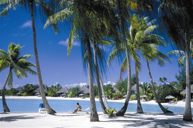 relaxing under the palm trees